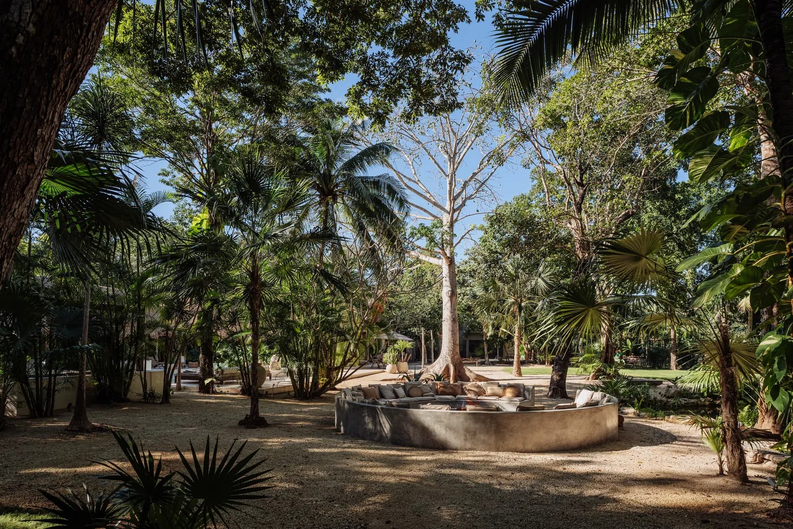 Onze Xpuha, circular bench around a ceiba tree in the gardens