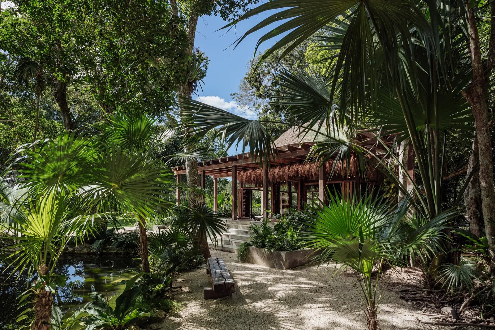 Onze Xpuha, yoga shala pavilion framed by palms