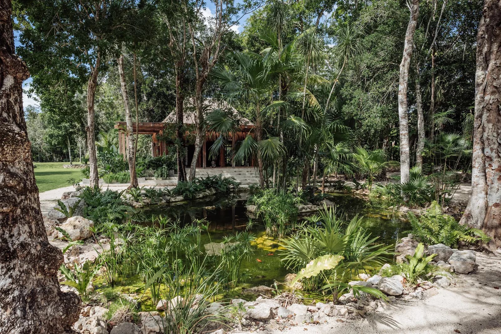 Onze Xpuha, sunken firepit circle within the jungle
